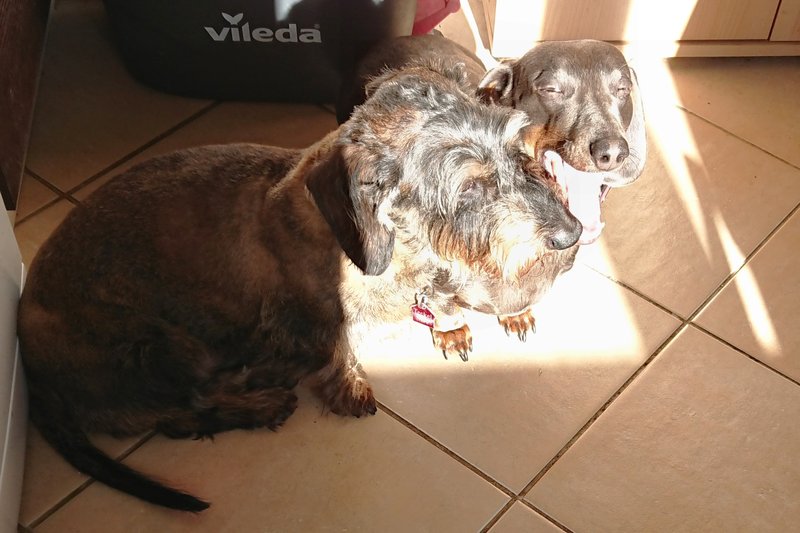 [Image: DSC-3616.jpg]