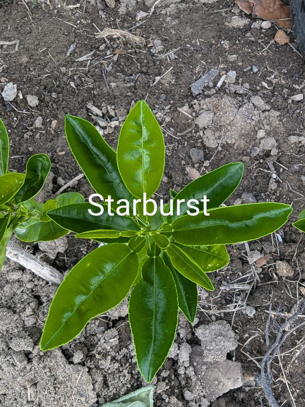 PXL_20240620_231613349~2