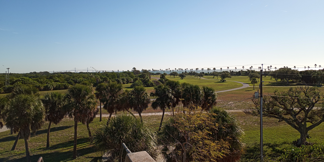 [Image: Florida12.png]