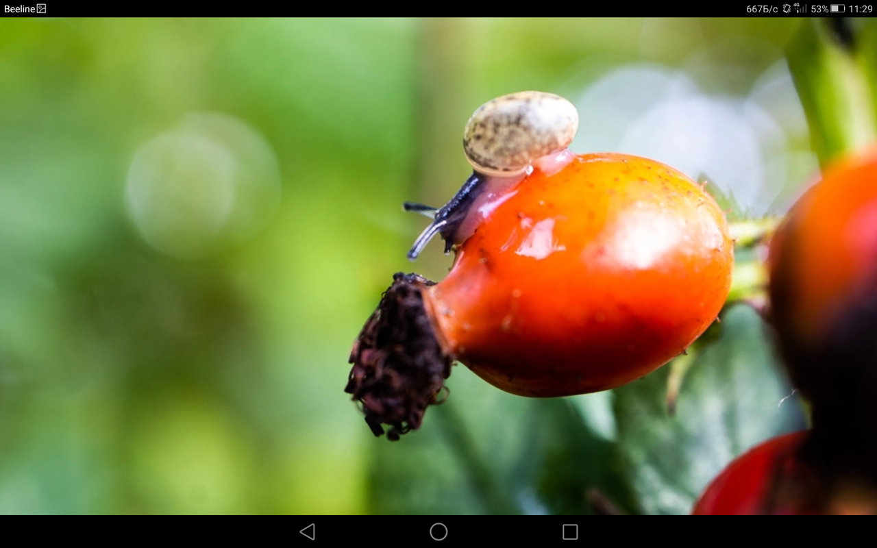 Screenshot_2023-10-01-11-29-59