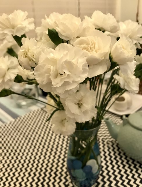 [Image: C6-C44-FFF-C104-4-F7-F-A5-C3-CF4382-D70-BD6.jpg]