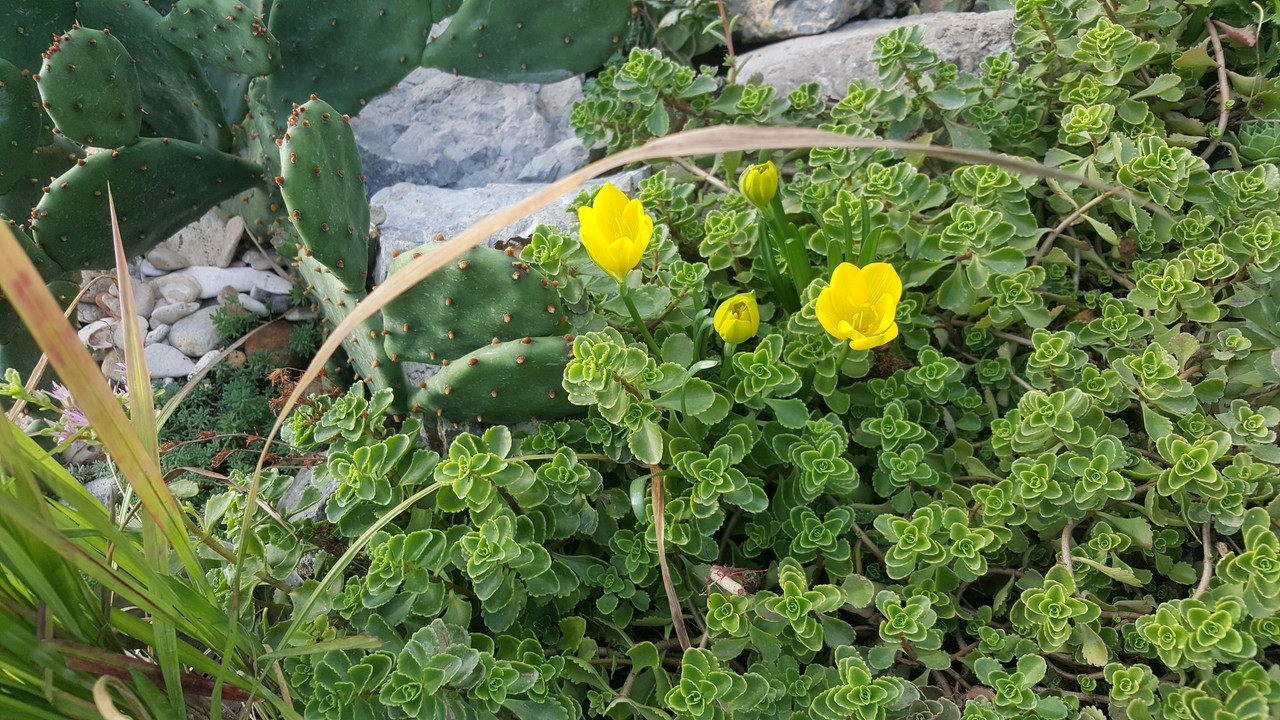 20190910_163030