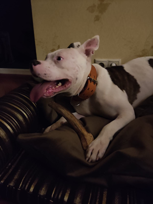 57FF67D0-06CA-4437-A7E2-9A19542065C5