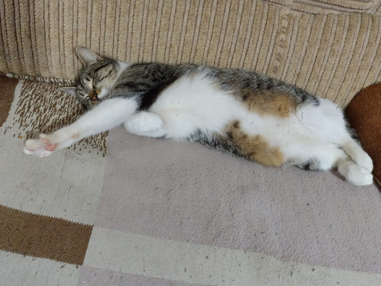 Whats App Image 2026 02 21 at 23 04 21