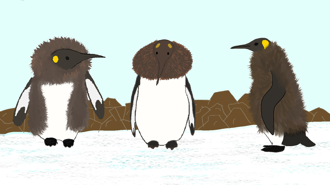 penguins