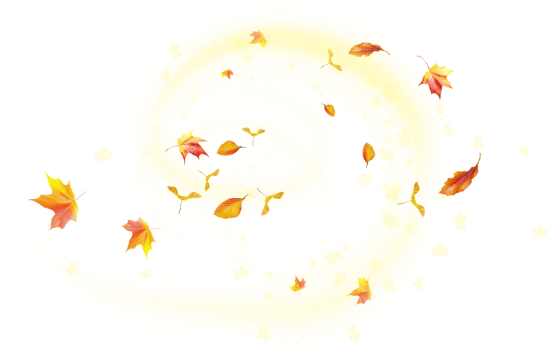 Pumpkinfairykitpudnspakles3