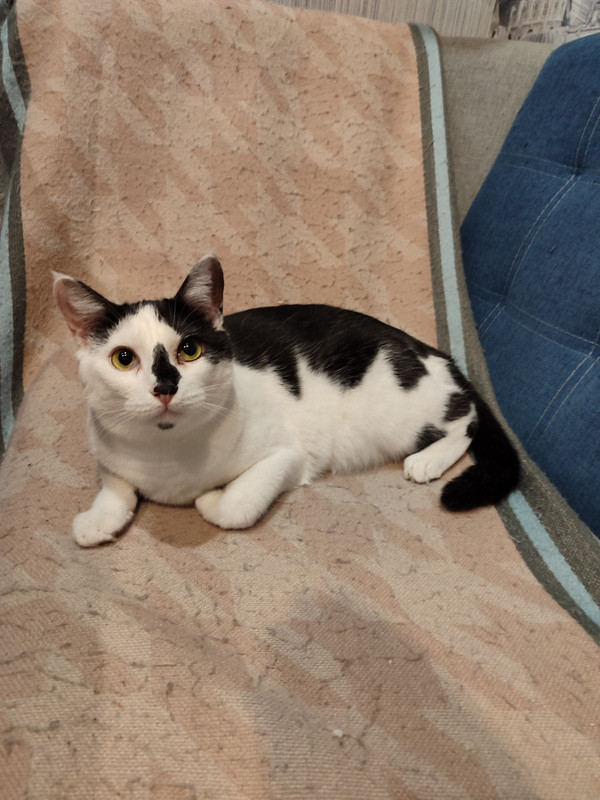 IMG-d8f81c4e45b5d18416185f482f7e7fa0-V