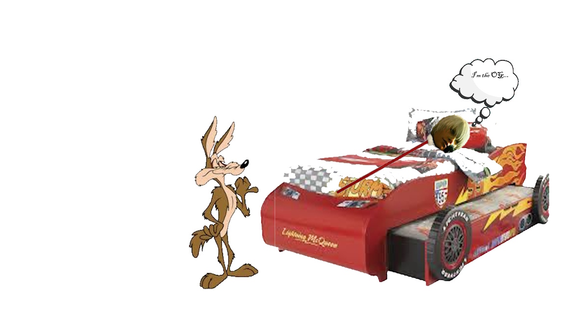 coyopoint.jpg