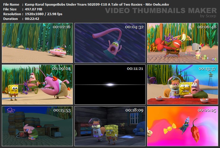 Kamp Koral SpongeBobs Under Years S02E09-E10 A Tale of Two Roxies - Nite Owls.mkv