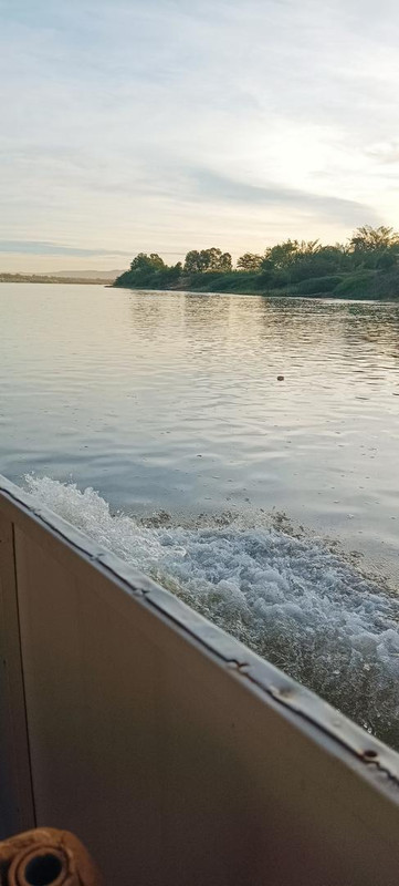 01 (27)