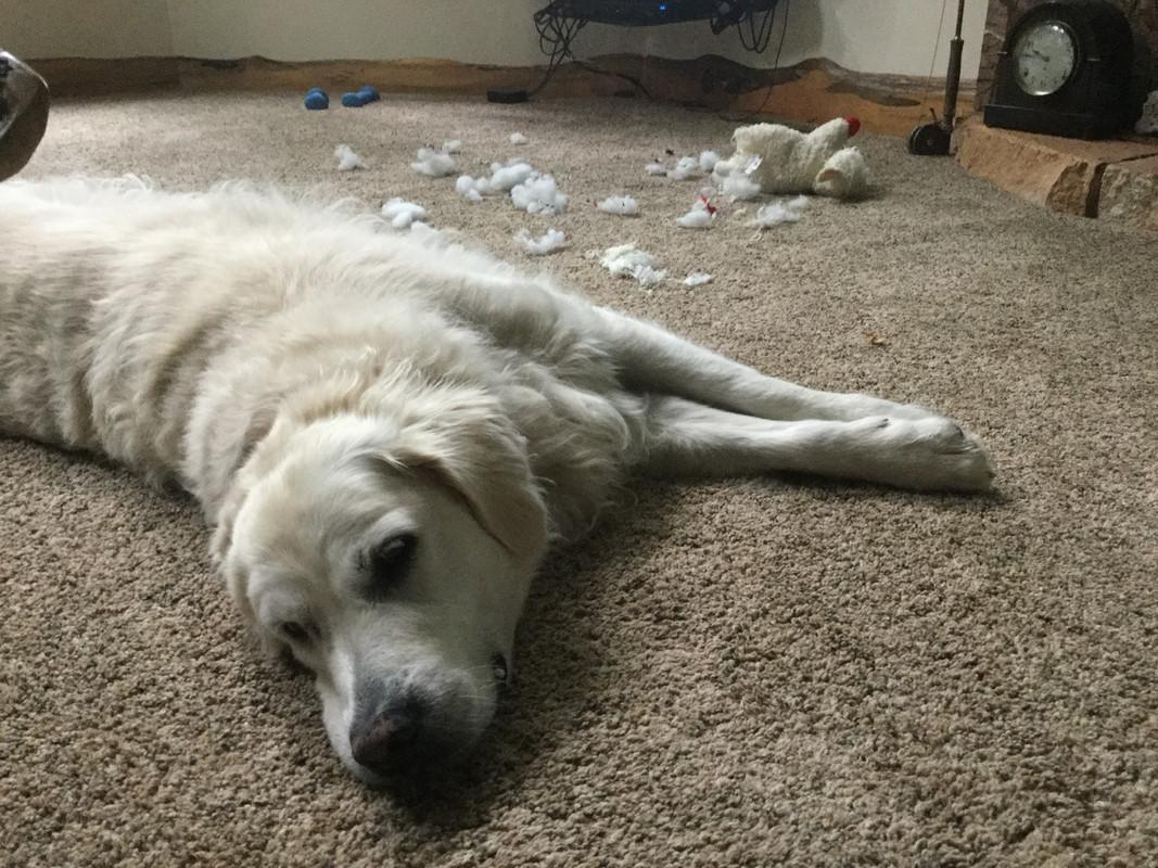 62A29772-FB8B-4305-AD67-75C88855691F