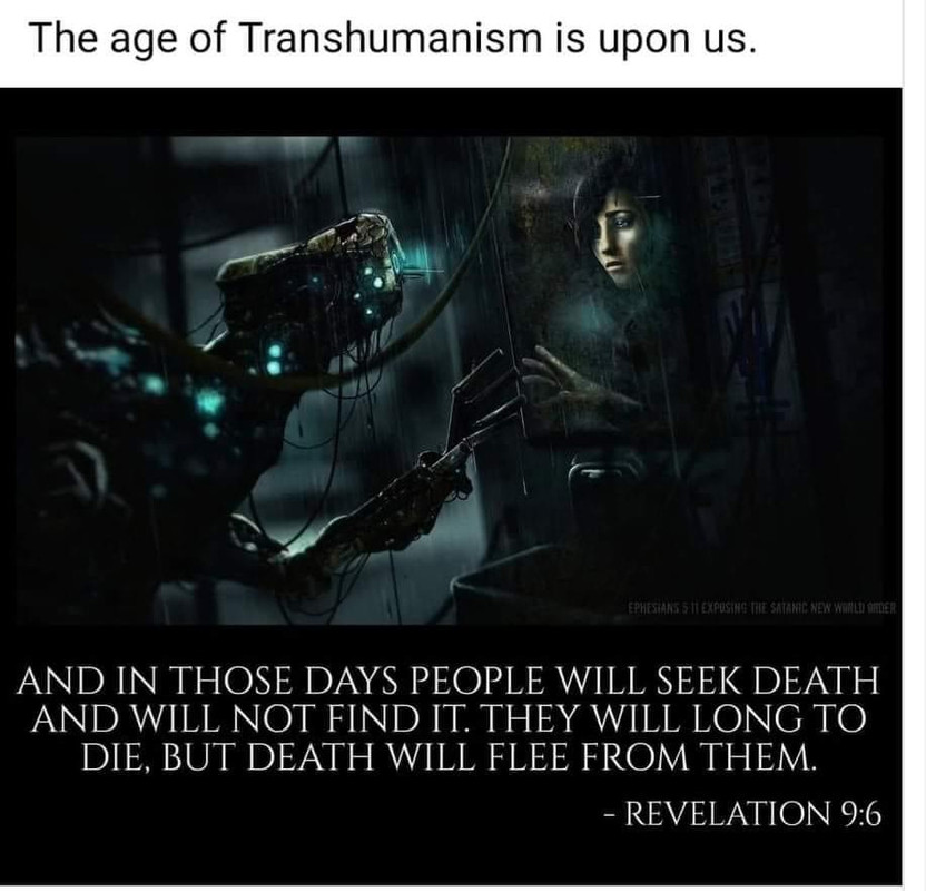 880-D52-BA-793-D-456-C-B5-A4-299-FE64391