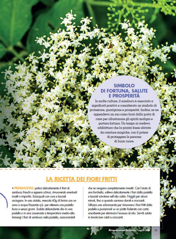 Alim Nat Lug 2023 (12)