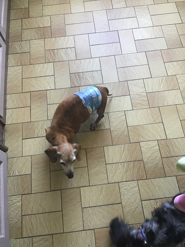 [Image: 881531-AA-60-EE-4-A75-BB69-743-CA875701-E.jpg]