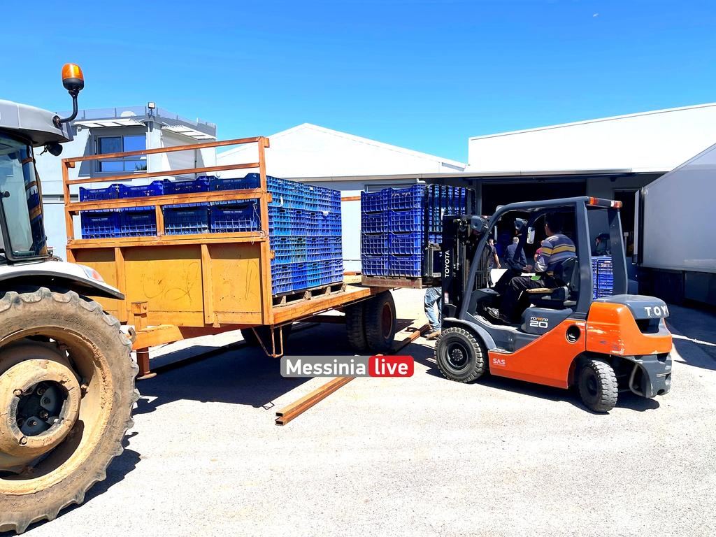 goumas-patates-IMG-5621