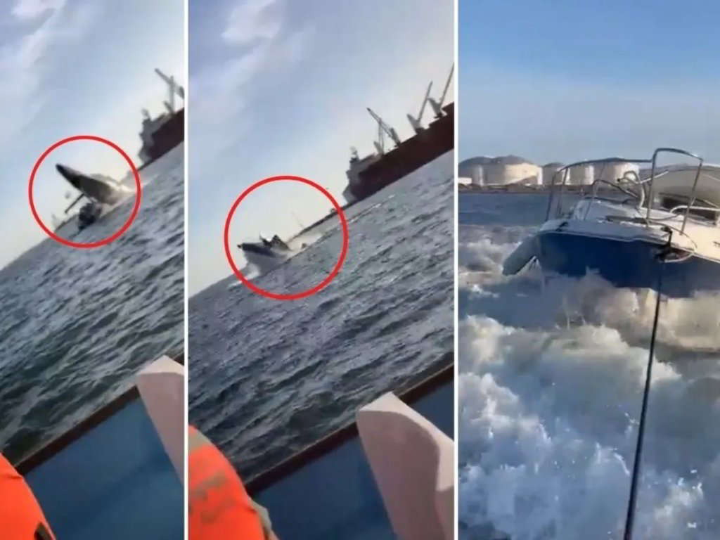 Messico: Balena schiaccia una lancia di turisti [VIDEO]