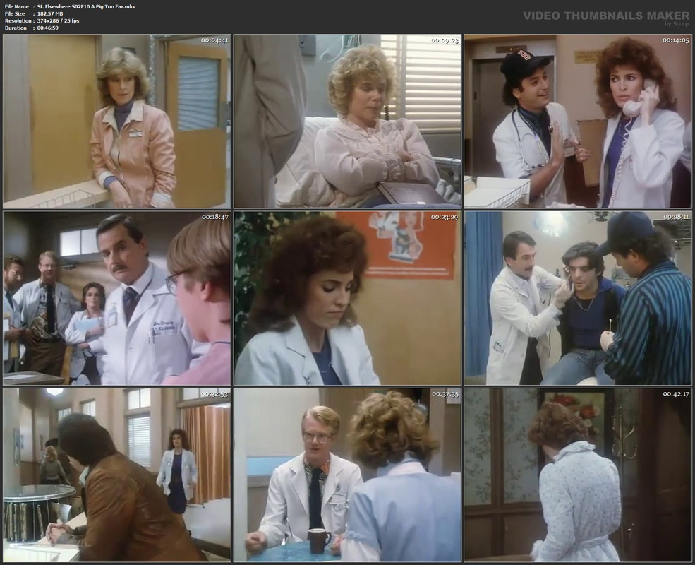 St. Elsewhere S02E10 A Pig Too Far.mkv