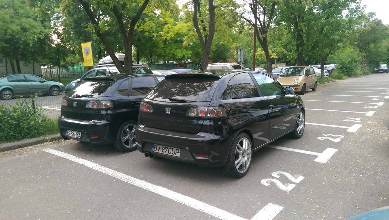 IMAG2185