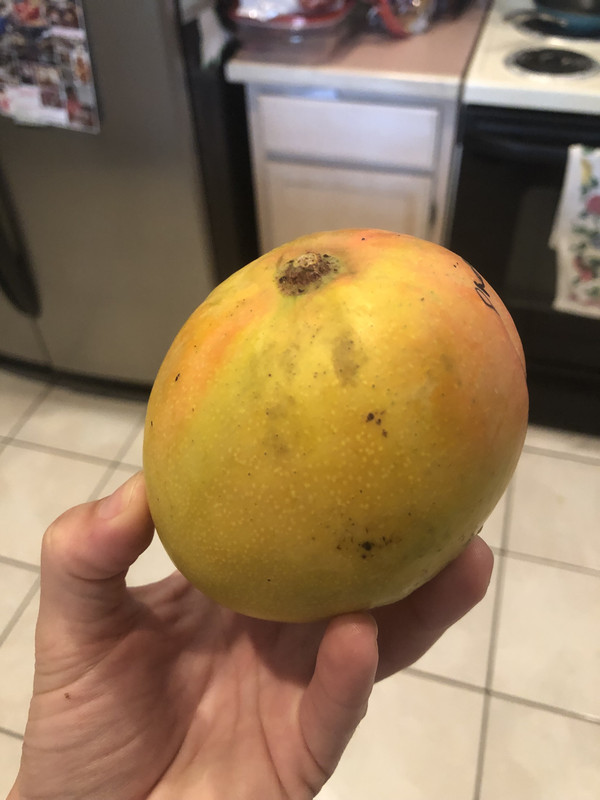 C5D4F462-790F-4EE1-9E25-DE95383AD316