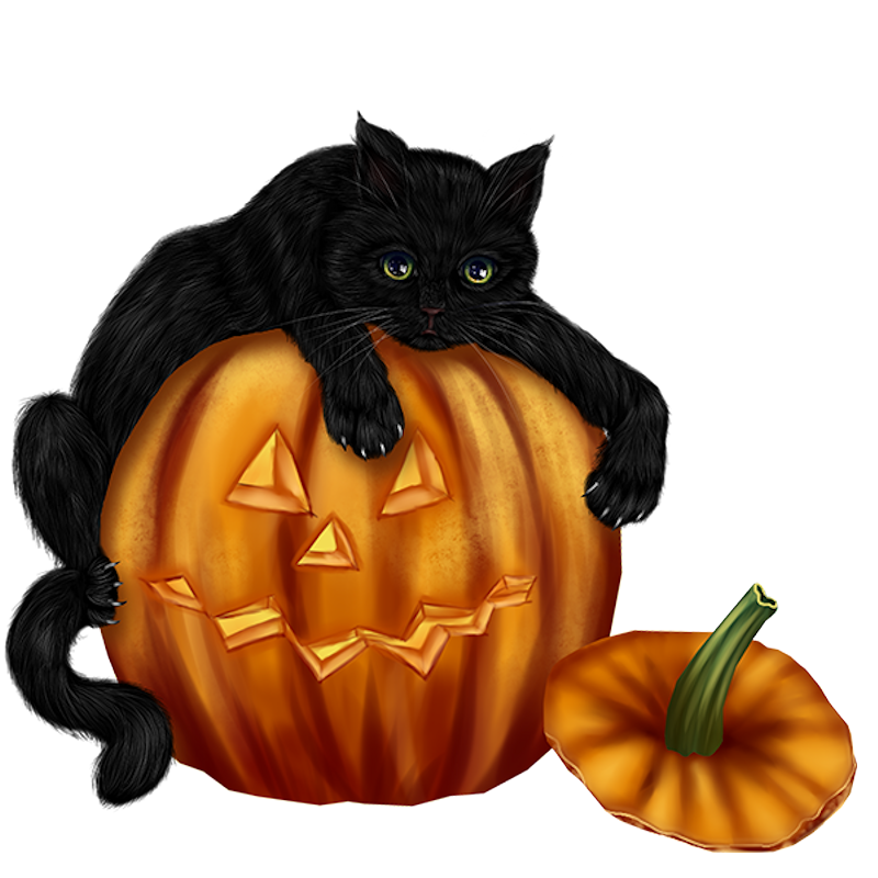 IPD_WP_Element (101)