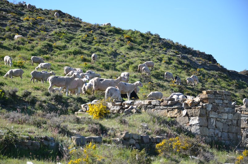 BRETUN-25-5-2013 - Soria y sus pueblos-2010/2013/2020 (25)