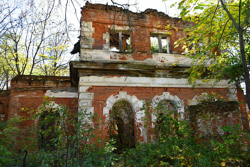 https://i.postimg.cc/cLHrdQpM/4.jpg
