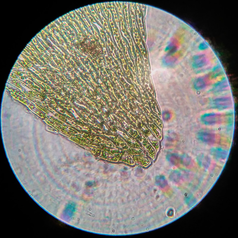 IMG 20250616 220939 HDR