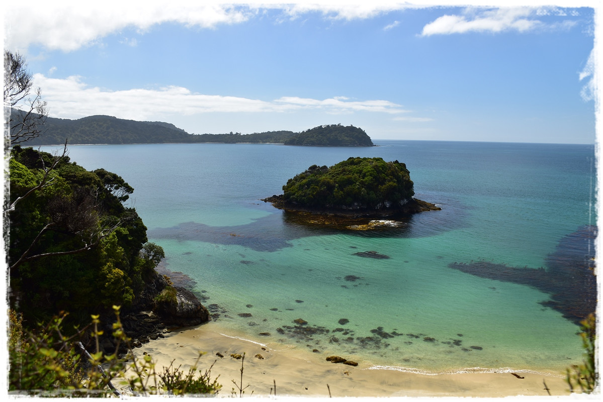 Stewart Island:  kiwis, Coast to Coast y unos días en Oban (febrero 2021) - Escapadas y rutas por la Nueva Zelanda menos conocida (45)