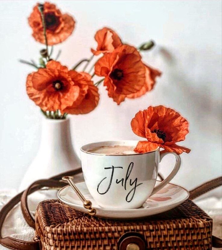 357678250_816868516678402_6947435218627846418_n