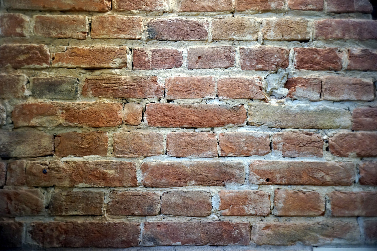 24-DSC00067