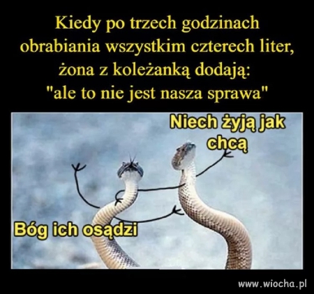 humor.jpg