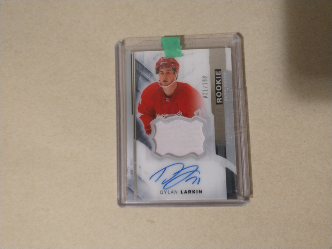 IMG_20240922_104301046_MP