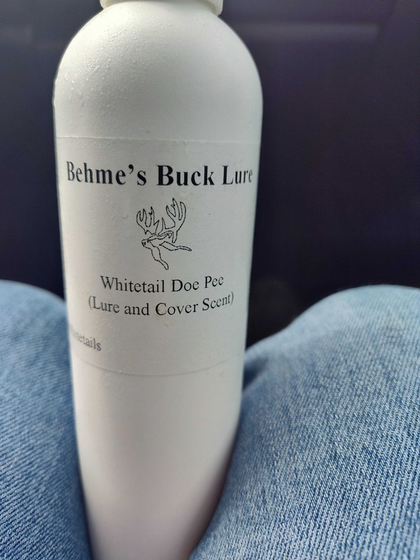 IMG_20241028_134239109_HDR