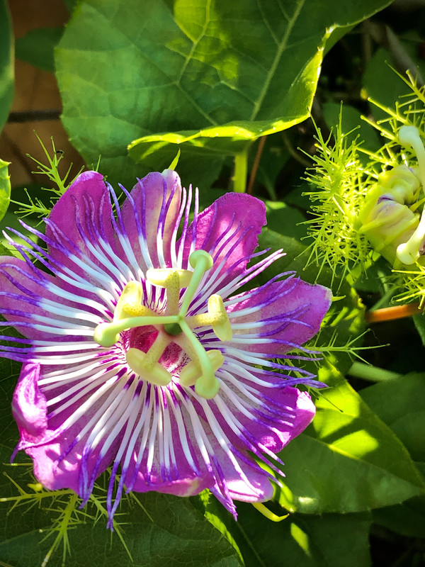 F9C95869-E161-4905-AB79-8C475B37D0E9