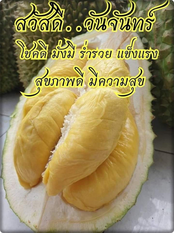 282651152_1622970311404182_835867324715824099_n (1)