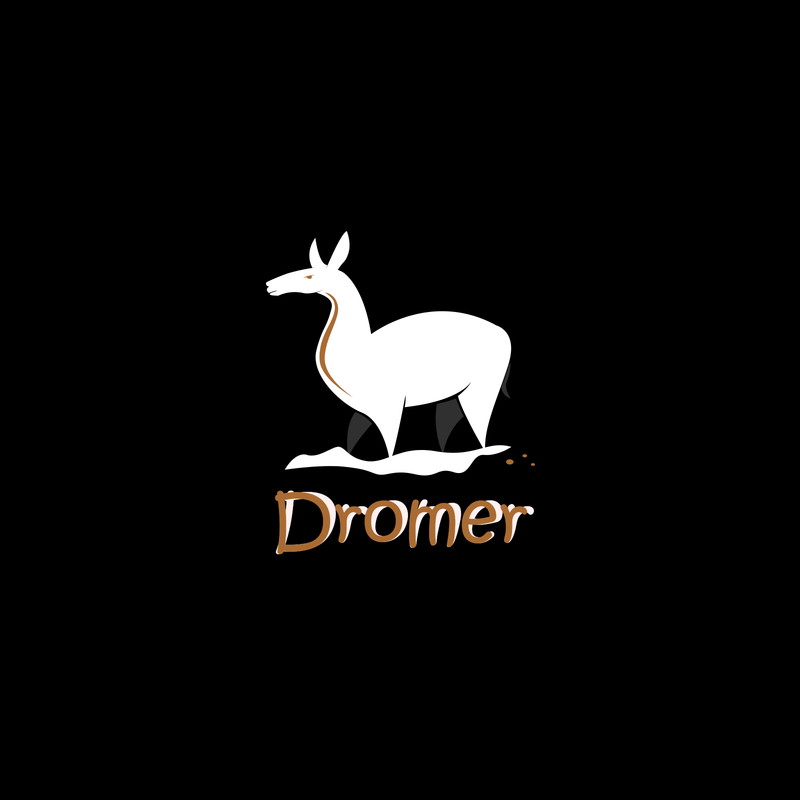 Logo 27