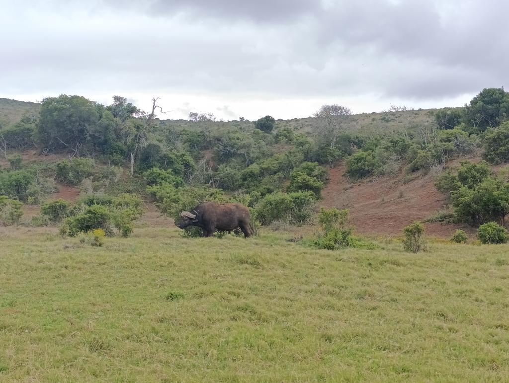 Такая близкая Африка. (ЮАР. 22 дня и 4200 км. Ноябрь-Декабрь)