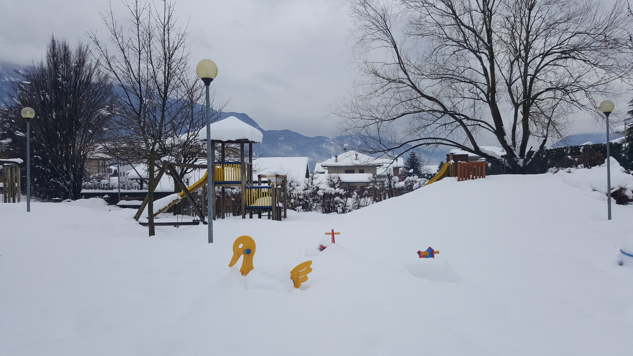 20190202_152146