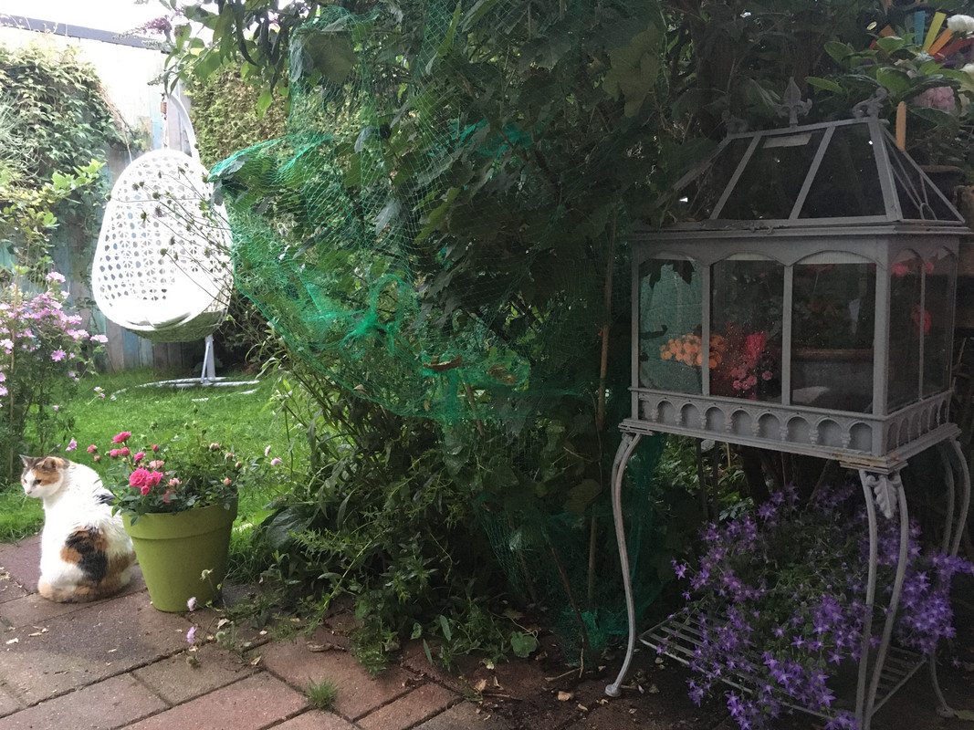 5B7AD9B9-E28D-437A-A339-B43A695864B7