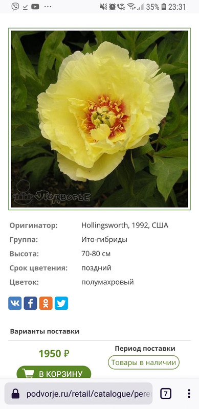 Screenshot_20201108-233135_Firefox