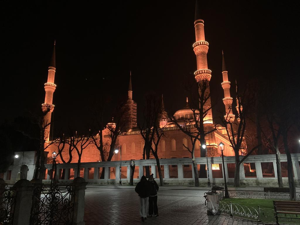 Un poco de Turquía en Navidad de 2025: Estambul y Capadocia bajo la nieve - Blogs de Turquia - Llegada a Estambul (4)