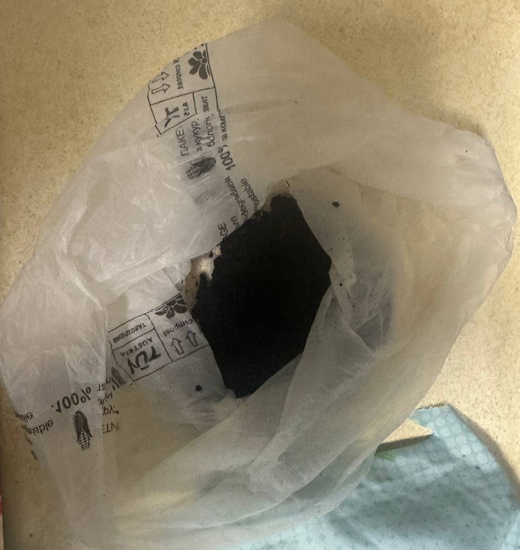 IMG 0733