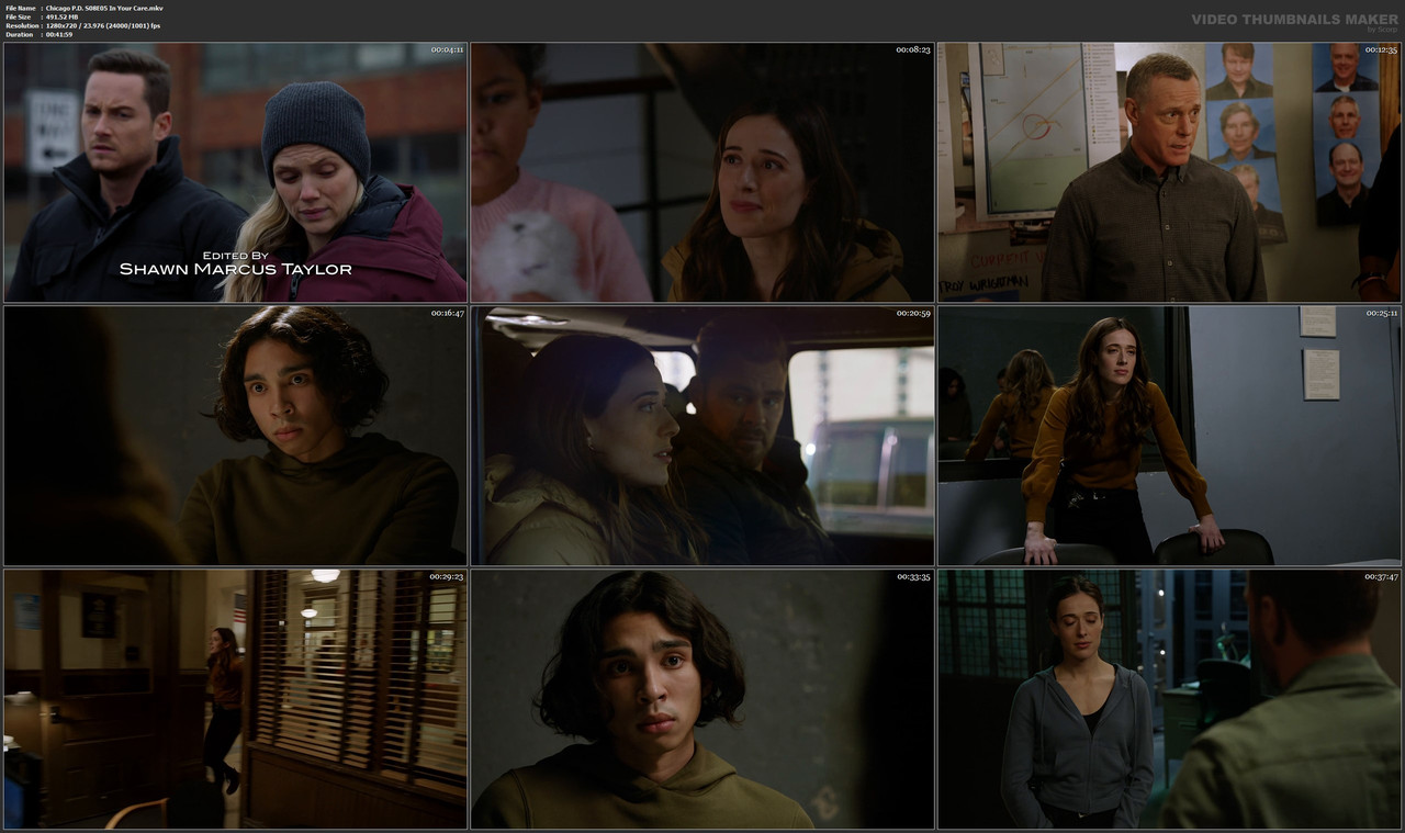 Chicago P.D. S08E05 In Your Care.mkv