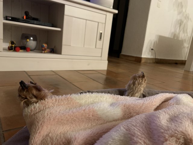 [Image: IMG-7037.jpg]