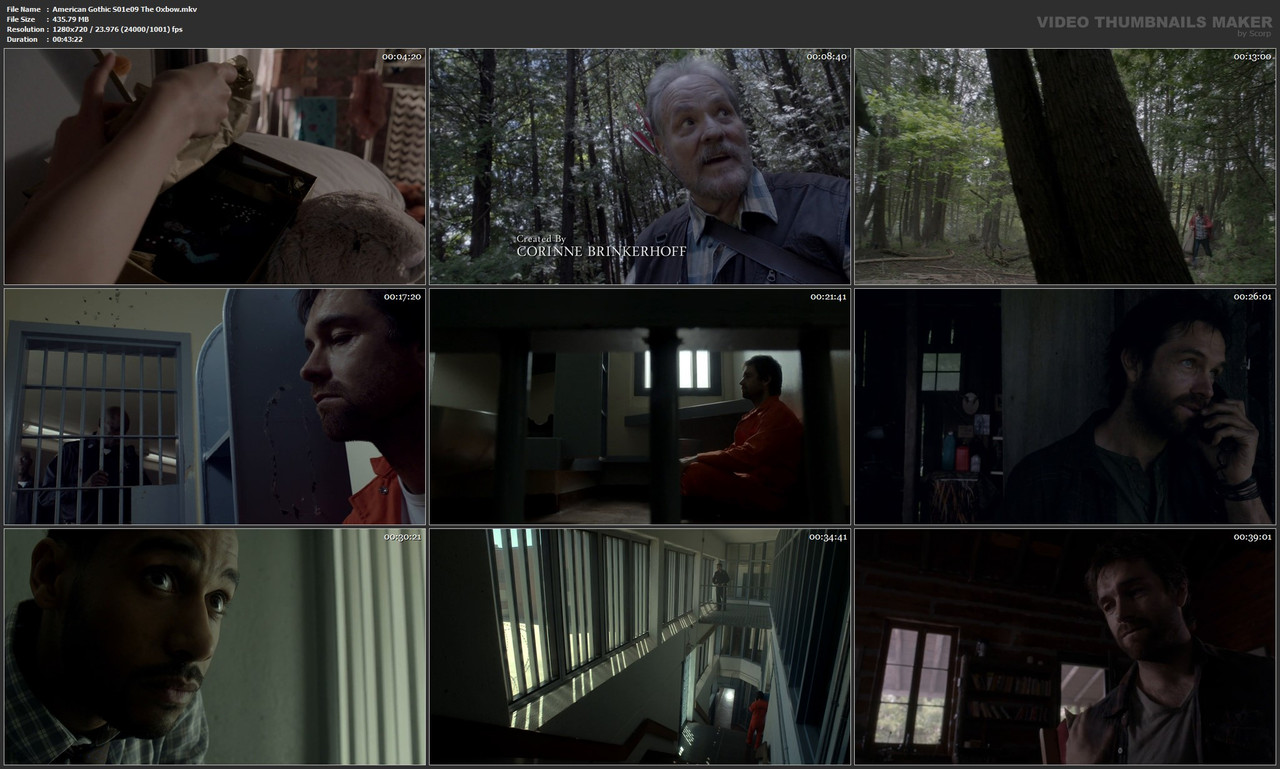American Gothic S01e09 The Oxbow.mkv