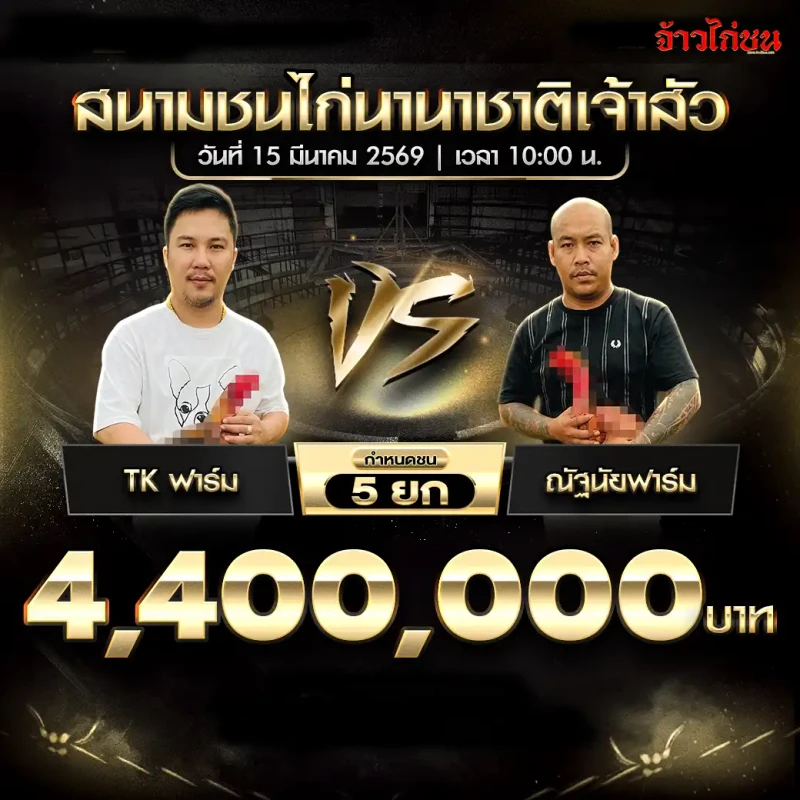 โปรแกรมไก่ชน คู่ TK ฟาร์ม พบ ณัฐนัยฟาร์ม สนามชนไก่นานาชาติเจ้าสัว 15 มีนาคม 2569