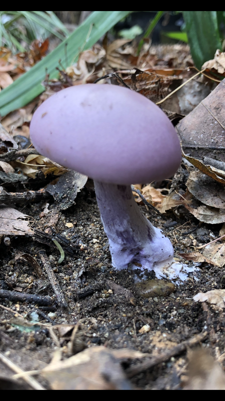 7D785FB6-5D4B-4910-A960-6FAE673ED682