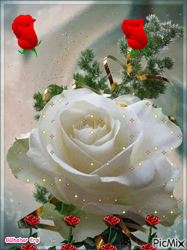 72-BE6-CF8-792-B-4-A1-F-A6-BD-0-EC16-F0-ADA36