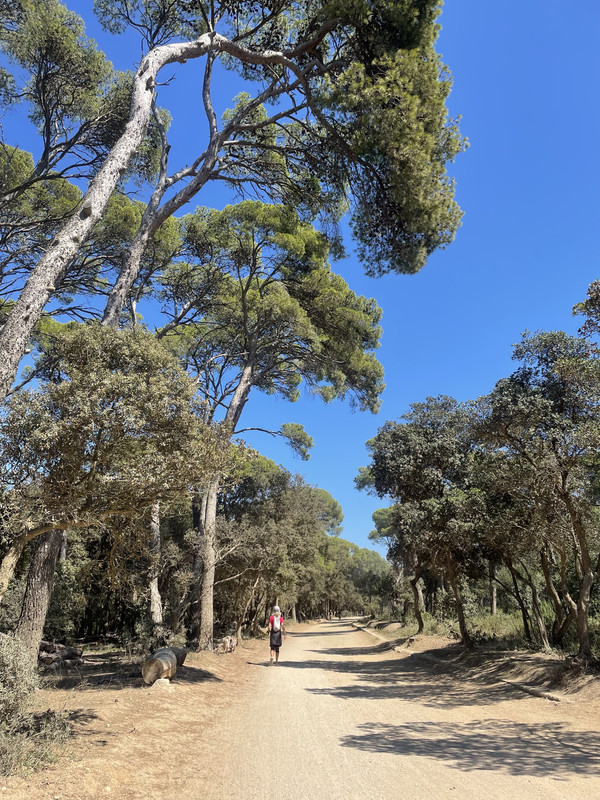 881B004D-1833-4AAA-B288-A6BB65E2A415