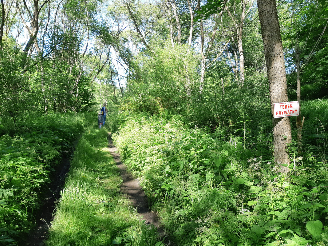 07.10 - 20220618_161636 (PiTT)